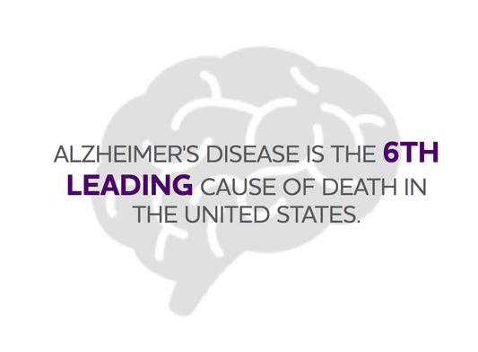 Alzheimer's Disease - An Insider's Perspective