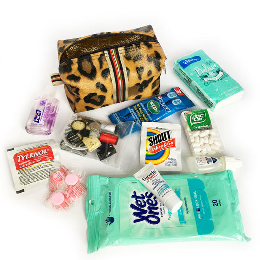 Organize Your Life One Pouch at a Time