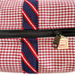 Abner Biggi Bag